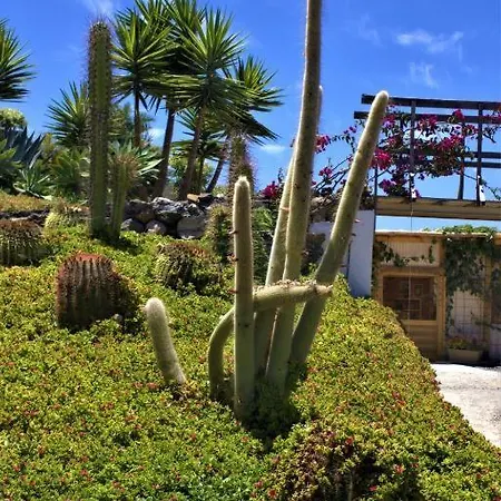 Gaia La Segunda Guía de Isora