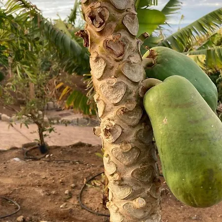 Casa de Campo Gaia La Segunda