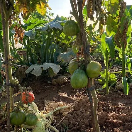 Hétvégi ház Gaia La Segunda Guía de Isora