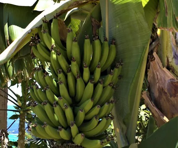 Gaia La Segunda Εξοχικό σπίτι *