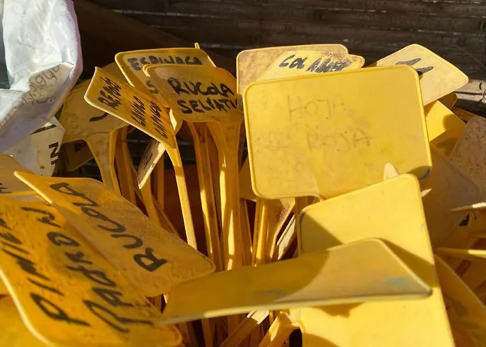 Landhuis Gaia La Segunda