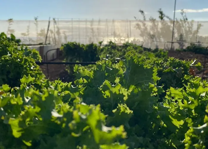 Gaia La Segunda בית כפרי