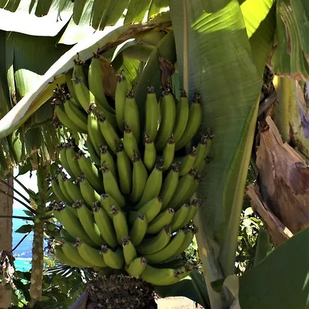 Gaia La Segunda Gospodarstwo wiejskie *