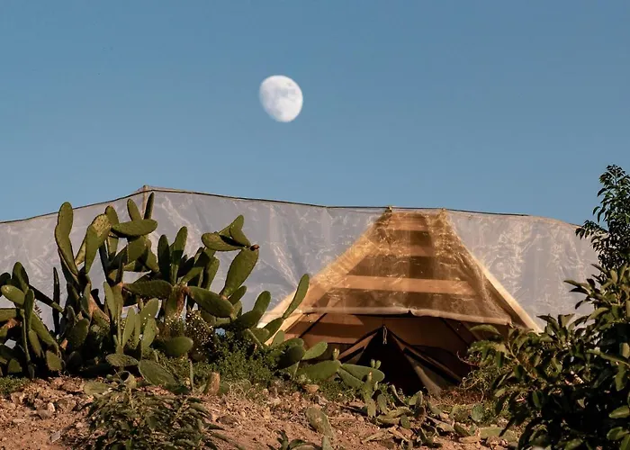 Gaia La Segunda * Guia de Isora (Tenerife)