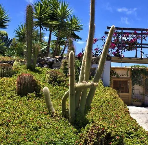 Gaia La Segunda Guia de Isora (Tenerife)