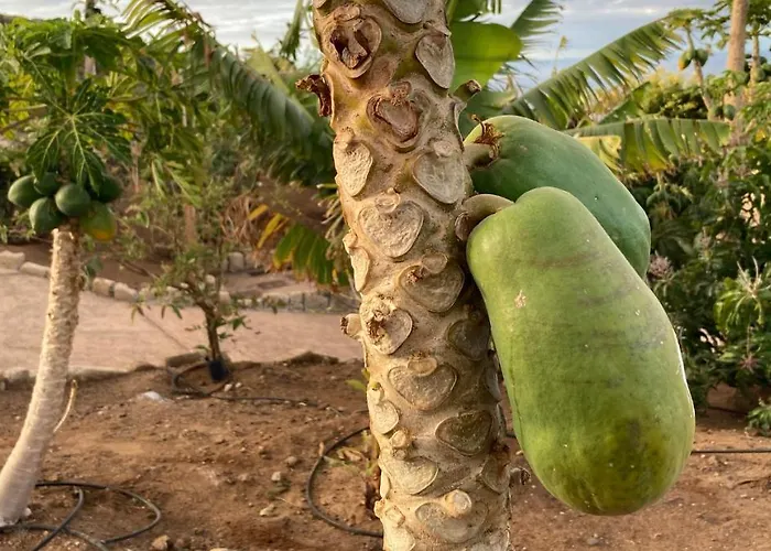 Country house Gaia La Segunda