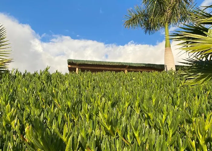 Gaia La Segunda Country house Guia de Isora (Tenerife)