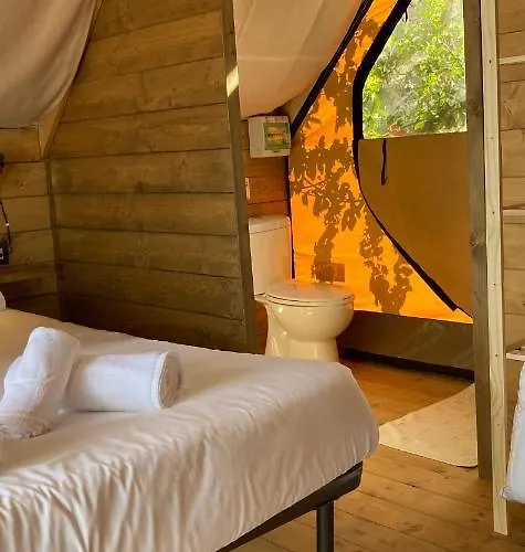 Gaia La Segunda * Guia de Isora (Tenerife)