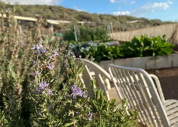 Gaia La Segunda * Guia de Isora (Tenerife)