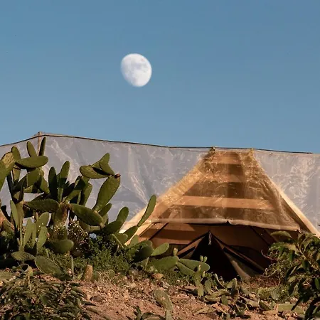 Gaia La Segunda * Guia de Isora (Tenerife)