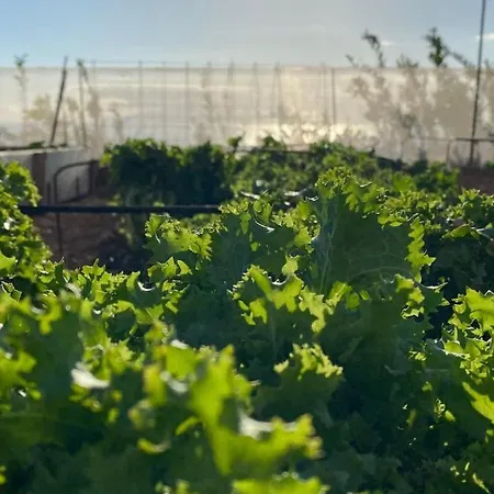 Gaia La Segunda Séjour à la campagne