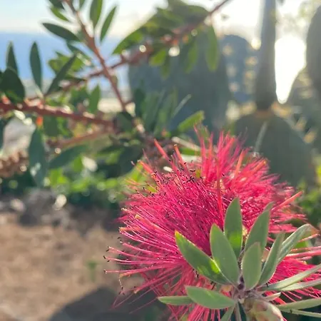 Gaia La Segunda Guía de Isora