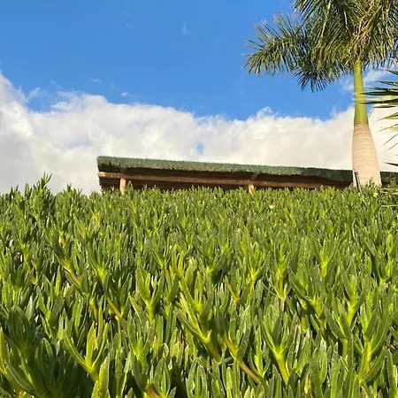 Gaia La Segunda Séjour à la campagne Guía de Isora