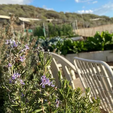 Gaia La Segunda * Guía de Isora